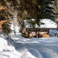 Waldhütte am Kunagrünberg