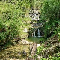 Der Rio Travasans