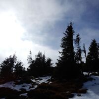 Steyersberger Schwaig - Schöberlrigel - Umschussriegel