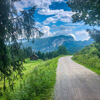 Retour von der Hoisnradalm
