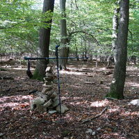 Wolfpassinger Berg höchster Pkt. Ostseite