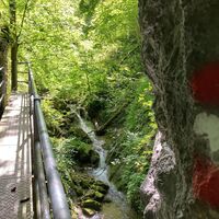 Losenstein-Hohe Dirn Trail