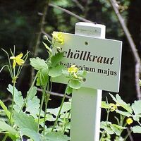 Naturlehrpfad Billafingen