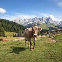 Landschaft