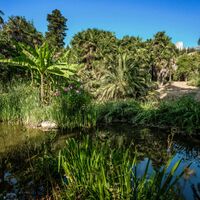 Der Erzherzogliche Park von Arco