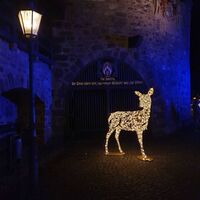 Lichterzauber in Hann. Münden, Reh vor der Rotunde