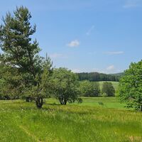 Im Grünen Band am Lauterbach