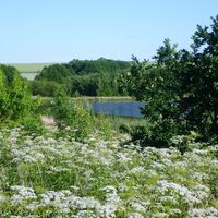 Stausee Triptis