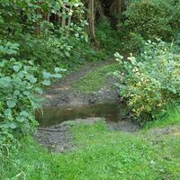 29km 10 Furten durch den Stiefernbach