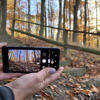 Königsstuhlhütte, Treppe im Herbst auf der Hube