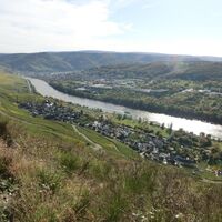Blick aus den Weinbergen oberhalb von Graach auf Graach und Bernkastel