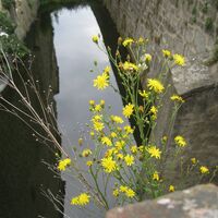 Leopoldklettersteig zur Riegersburg