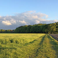 Weg durch weite Felder