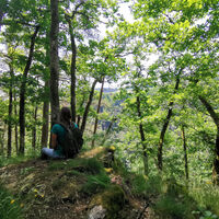 Ausblicke ins Schlüchttal vom Hutpfad