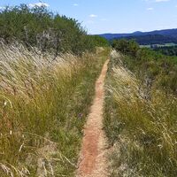Wanderweg Mühlsteinweg (1)