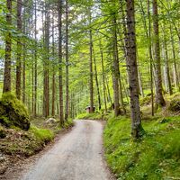 auf der MTB Tour "465 Rund um den Guffert" - auf der "Gang" Straße