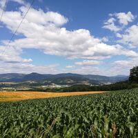 Vierbergeweg mit Blick zur Grebenze (rechts) und dem Lorenziberg (Mitte)