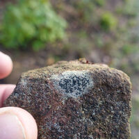 Geologie zum Anfassen