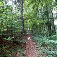 Aufstieg zum Holzkogel