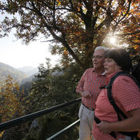 Ausblick von der Engelskanzel über das Lierbachtal