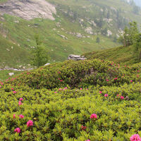 Passo Quadrella