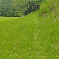 NaturaTrail - meist naturnahe Wege