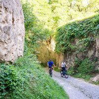 Hohlweg im Kamptal
