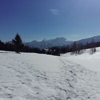 Schneeschuhtour - Schüttbauernalm (von Niglalm)