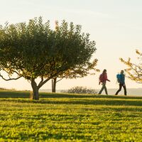 Wandern auf dem Leininger Burgenweg