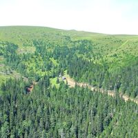 Hirschegger Alm