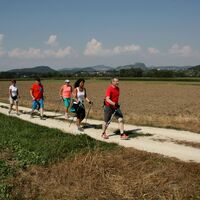 Nordic Walking im Aachtal bei Bohlingen