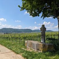 Mosers Brunnen