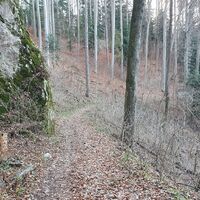 18.6 km Wandfußsteig