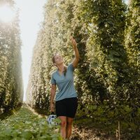 Radfahrerin im Hopfenfeld