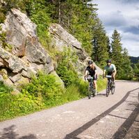 Gravelbikes am Feldberg