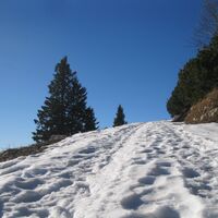 Gemeindealpe und Erlaufsee