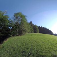 16.2 km Spitz links die Wiese hinauf ...