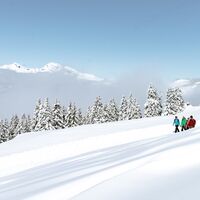 Winterwandern in Lenzerheide