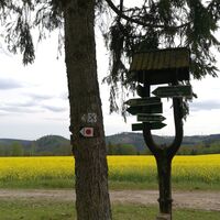 Von Ziegenrück zur Fernsicht