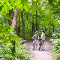 Waldweg zwischen Nikolaihof und Ilmenauradweg