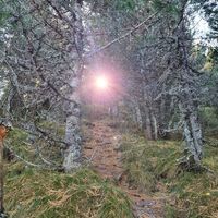 Bruderkogel-Pölstal-Murtal-Steiermark c Martin Muhrer_BergfexMartin (6).jpg