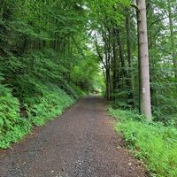 Abzweigung Pfad - hoch zur Burgruine Breitenstein