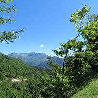 Almtaler Haus - Habernau/Jagersimmerl - Almsee - Hochpfad/Gschirrsattel -  Offensee - Jh. Fahrnau - Rindbachschlucht - Ebensee
