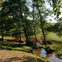 Niese bei Kollerbeck