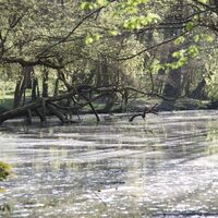 Frühlingssonne am Pfannwaldsee