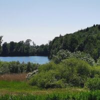 Storch am Neuweiher bei Daisendorf