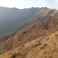 Weg zwischen Alpe Criuliro und Chiaulira