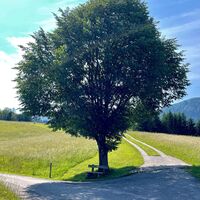 Grabenrundweg Opponitz