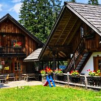 Steinitzenalm