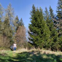 Pleschkogel ohne Gipfelkreuz